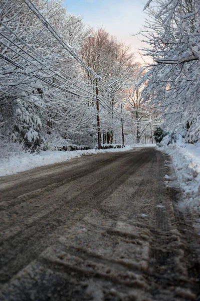 Дорога Между Заснеженными Деревьями Зимой — стоковое фото