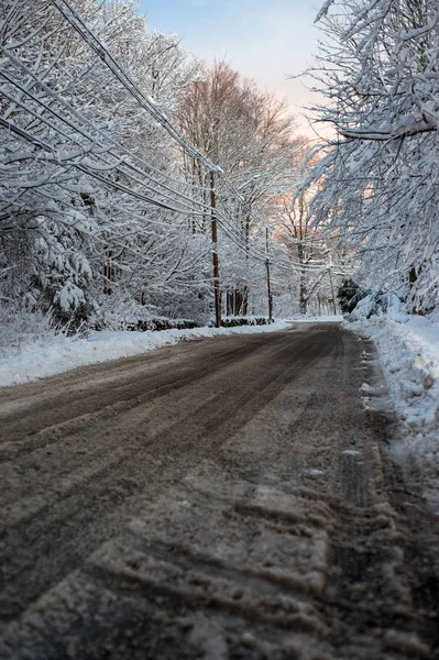 Route Entre Les Arbres Enneigés Hiver — Photo