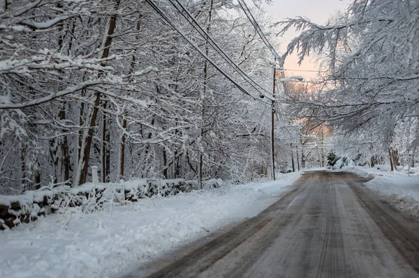 Vägen Mellan Snö Täckt Träd Vintern — Stockfoto