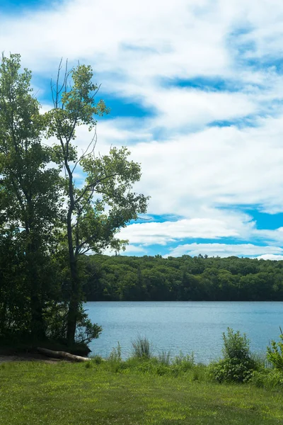 Groene Bomen Aan Kust Van Lake Achtergrond — Stockfoto