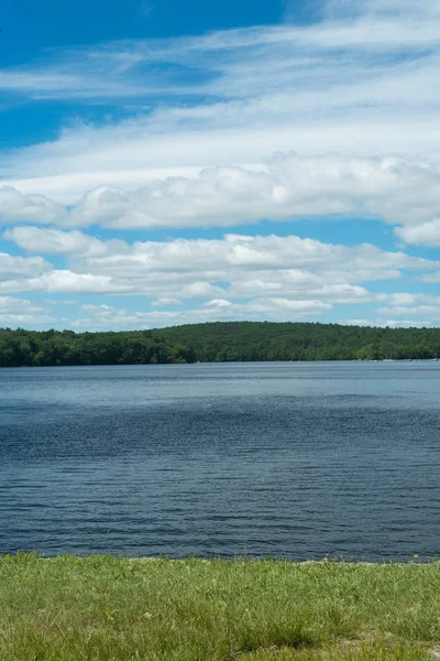 Landschap Van Groen Gras Buurt Van Lake Bos Achtergrond — Stockfoto