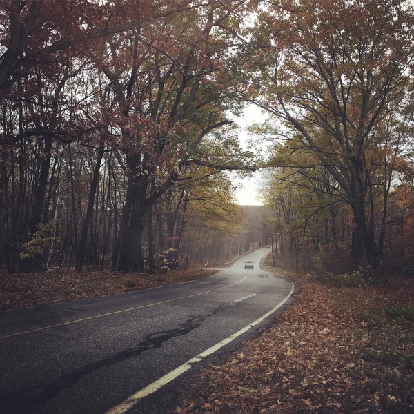Машины Едут Асфальтированной Дороге Между Деревьями Осенью — стоковое фото