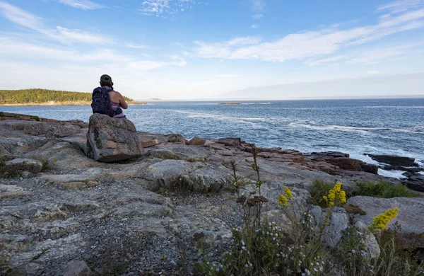 North America Acadia January 2018 Man Enjoying View Ocean Acadia — Stock Photo, Image