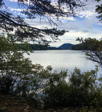 Ormandaki güzel göl.