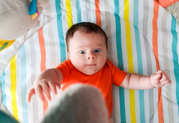 Funny Baby Playing Dangling Toys — Stock Photo, Image