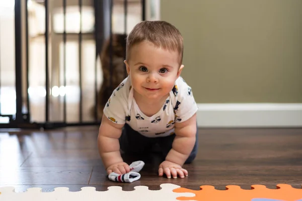 Baby Boy Crawling Floor Front Baby Gate Cat Him 스톡 이미지