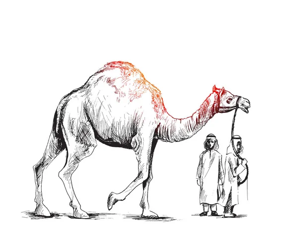 Emiraty człowieka stojącego z wielbłąda, ręcznie rysowane szkic wektor ilustr — Wektor stockowy