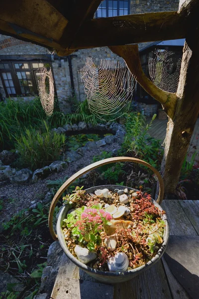 Bloempot met spinnenwebben — Stockfoto