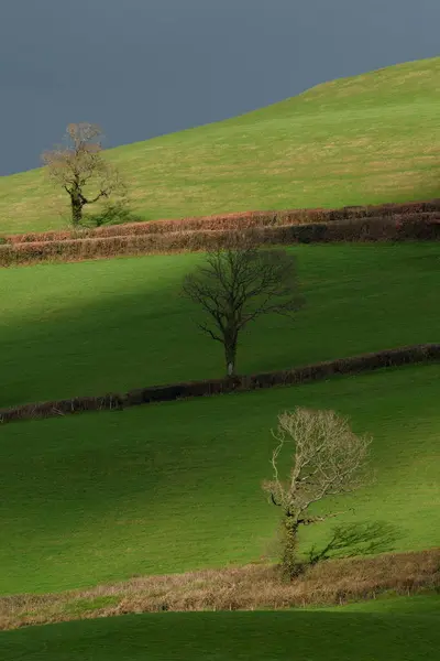 Farmland in Blackdown Hill — Stock Photo, Image