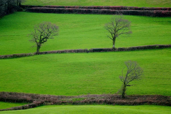 Terreni agricoli a Blackdown Hill — Foto Stock