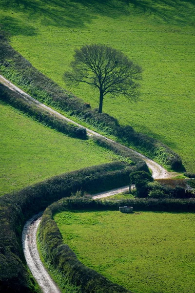 Strada di campagna su terreni agricoli — Foto Stock