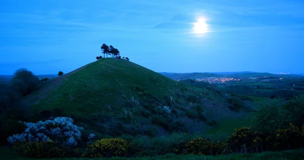 Iconic Colmer 's Hill near village of Symondsbury — стоковое фото