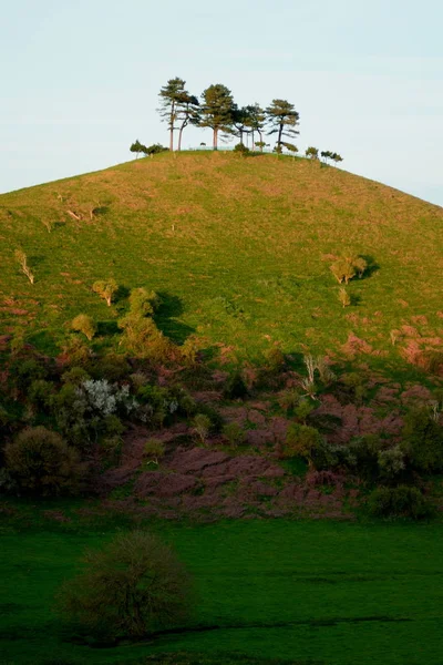 Kultowego Colmer wzgórza w pobliżu miejscowości Symondsbury — Zdjęcie stockowe