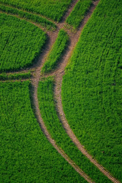 Pneumatique tracteur sur un terrain agricole — Photo