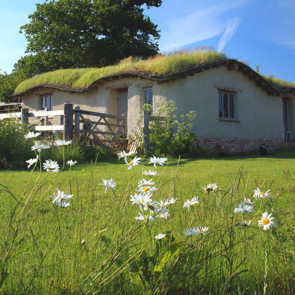 Building with green roof — Stock Photo, Image