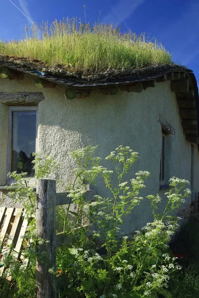 Yeşil çatılı bina — Stok fotoğraf