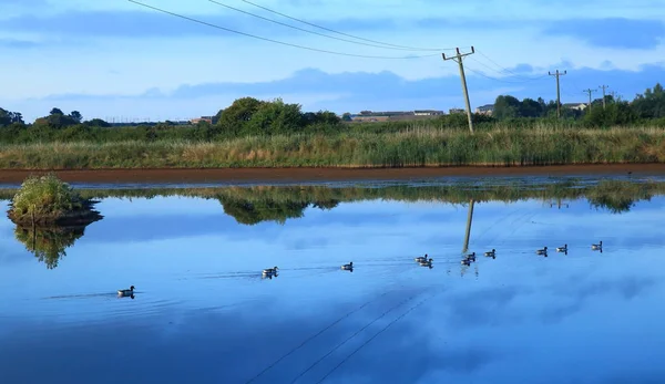 Nascer do sol sobre Black Hole Marsh em Seaton Wetlands — Fotografia de Stock