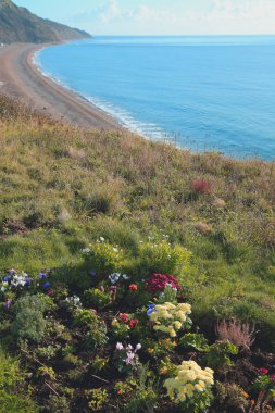 Seaton Jurassic Coast
