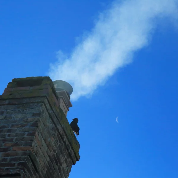 Toren staande op de schoorsteen — Stockfoto