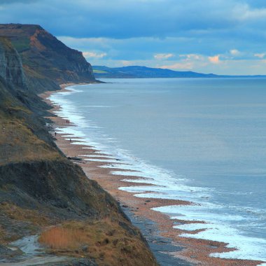 Jurassic Coast Charmouth Köyü ünlü yakınındaki kumsalda fosiller tarafından