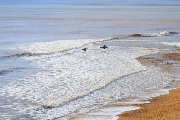 Spiaggia Sulla Costa Giurassica Vicino Villaggio Charmouth Famosa Fossili — Foto Stock