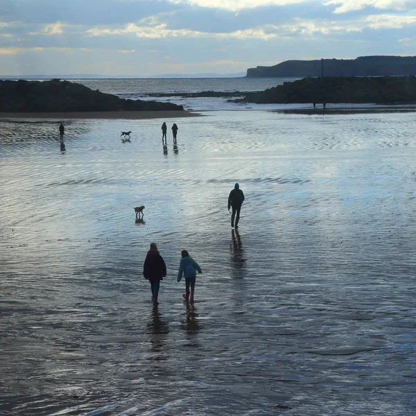 Sylwetki Ludzi Chodzących Mokrej Piaszczystej Plaży Sidmouth Devon — Zdjęcie stockowe