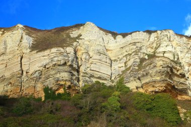 Devon Jurassic Coast Branscome Köyü yakınındaki Hooken Cliff