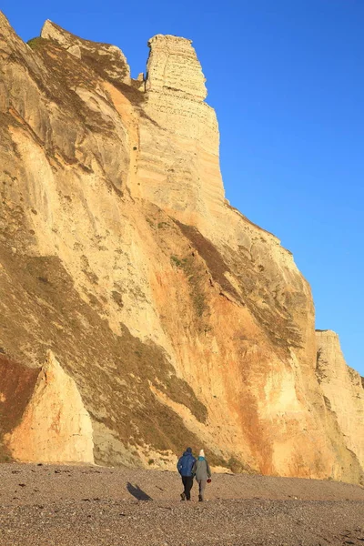 Hooken Szikla Közelében Falu Branscome Jurassic Coast Devoni — Stock Fotó