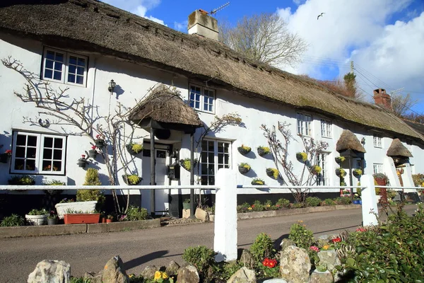 Dwudziestoletnia Zabytkowy Domek Miejscowości Branscombe Devon — Zdjęcie stockowe