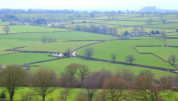 Olağanüstü Doğal Güzellikleri Blackdown Hill Bölgesinde Tarım Arazileri — Stok fotoğraf