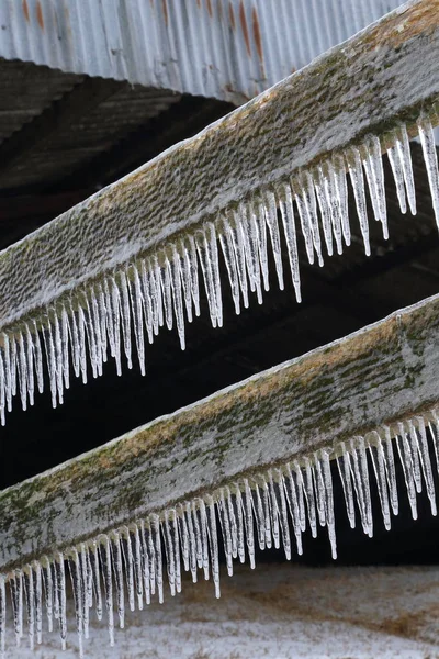 Σειρές Icicles Που Κρέμονται Από Ξύλινες Σανίδες — Φωτογραφία Αρχείου