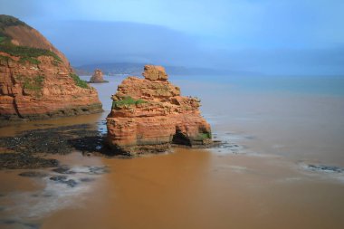 Deniz yığın Jurassic Coast doğal Dünya Mirası site Sidmouth şehir Doğu Devon yakınındaki Ladram Bay