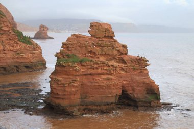 Deniz yığın Jurassic Coast doğal Dünya Mirası site Sidmouth şehir Doğu Devon yakınındaki Ladram Bay