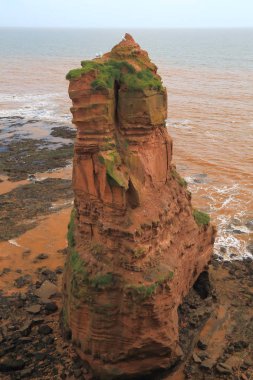 Deniz yığın Jurassic Coast doğal Dünya Mirası site Sidmouth şehir Doğu Devon yakınındaki Ladram Bay