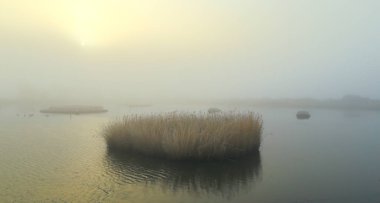 Seaton Wetlands Doğa Koruma Alanı 'ndaki gölde puslu bir sabah, Devon.