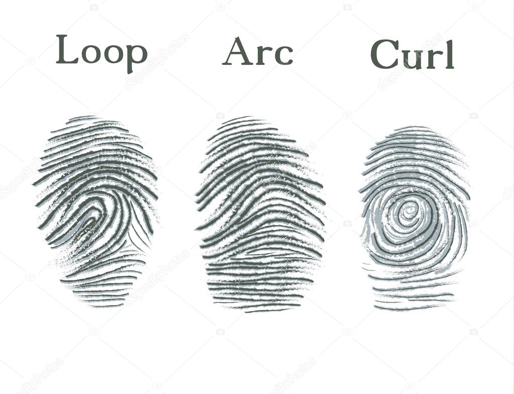 Set of fingerprints icons, id security identity fingerprint. Loop, arc, curl
