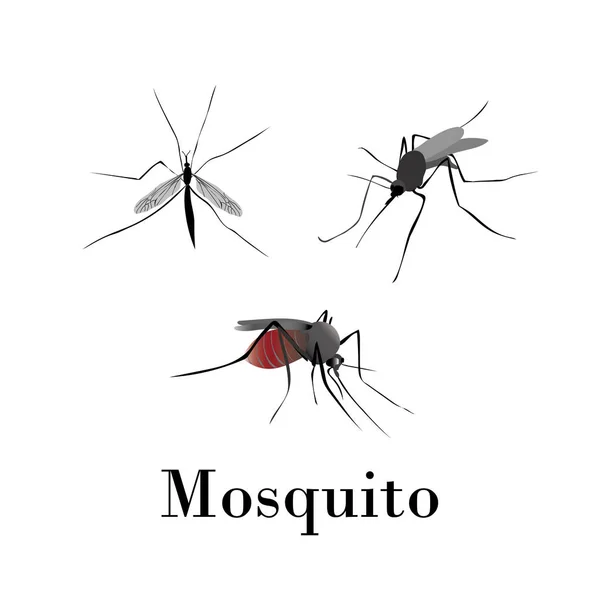 Mosquitoes silhouette vector set on a white background — Stock Vector