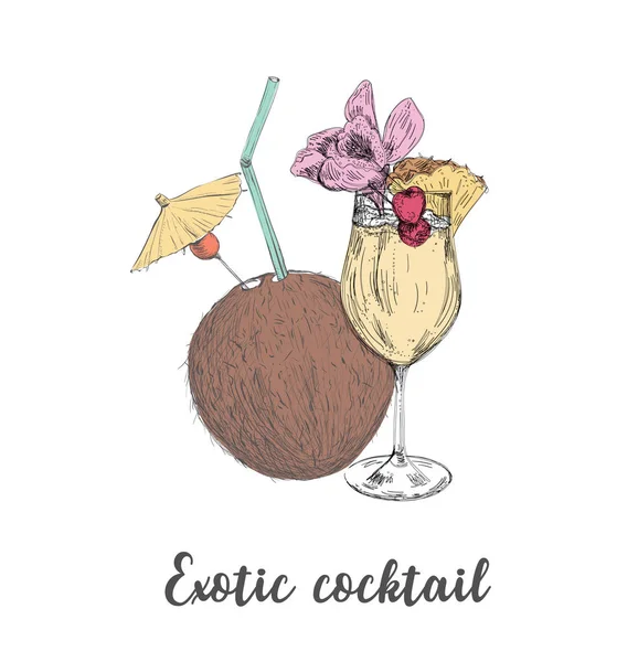 Exotischer Cocktail Kokos-Ananas-Drink. Skizze — Stockvektor