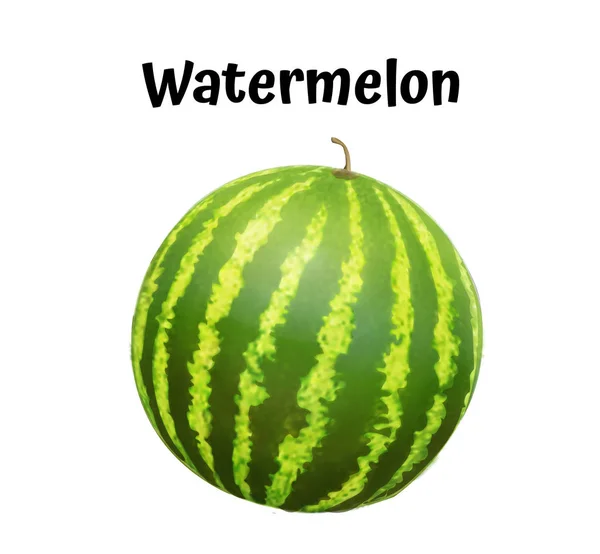 Vattenmelon realistiska mogna. Vektorillustration. — Stock vektor