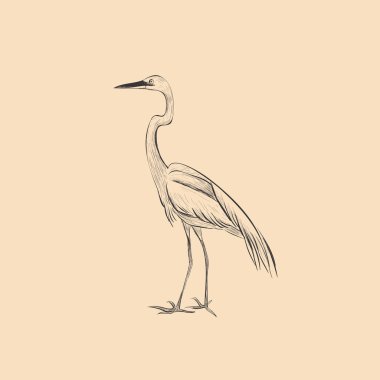 Heron bir kroki vektör ilişkindir. El 