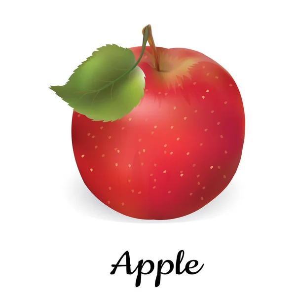 Jablko červené vektorové ilustrace. Izolované jablko — Stockový vektor