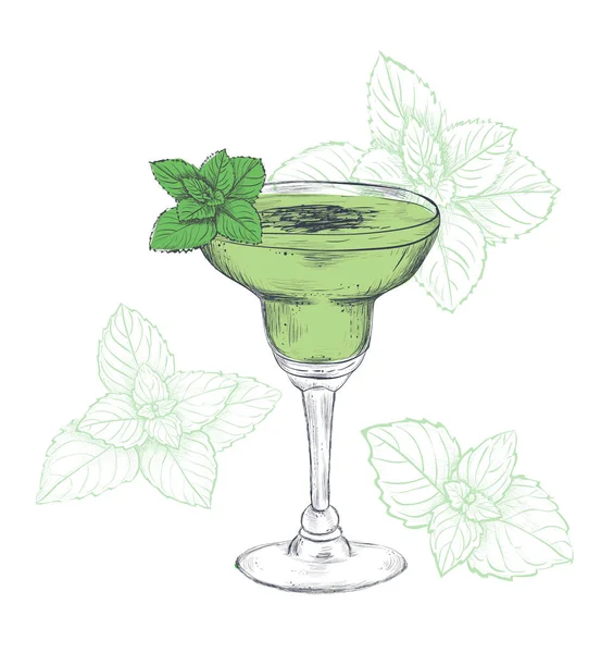 Mint cocktail schets illustratie. — Stockvector