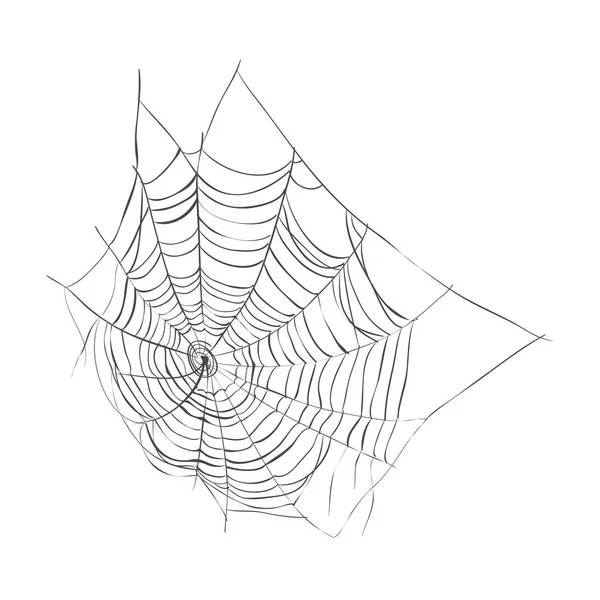 Web örümcek vektör çizim. 
