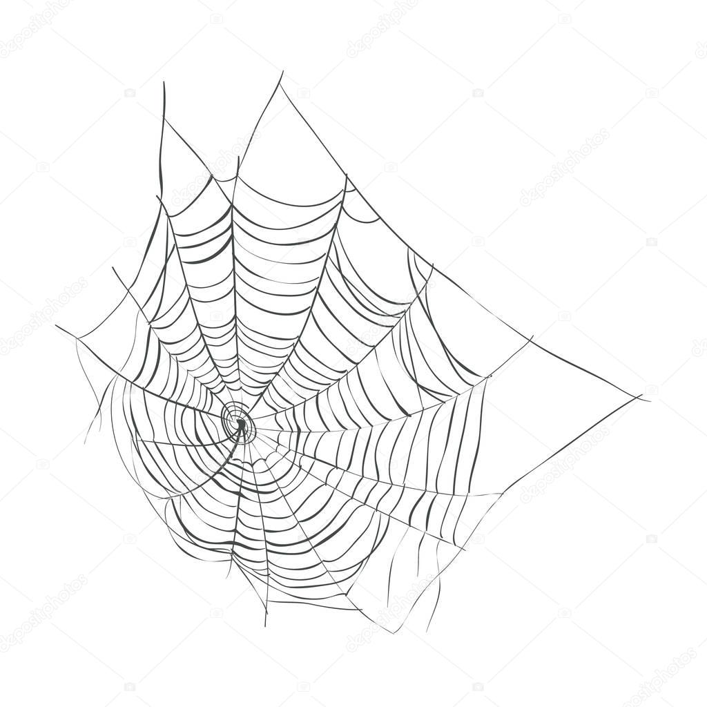 Web Spider Vector Illustration. 