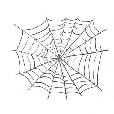 SpiderWeb, Web örümcek vektör çizim. 