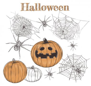 Cadılar Bayramı Balkabağı kroki ayarla