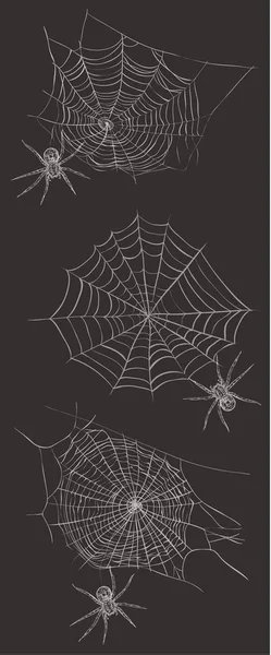 A spider weaves a spider web. — Stock Vector