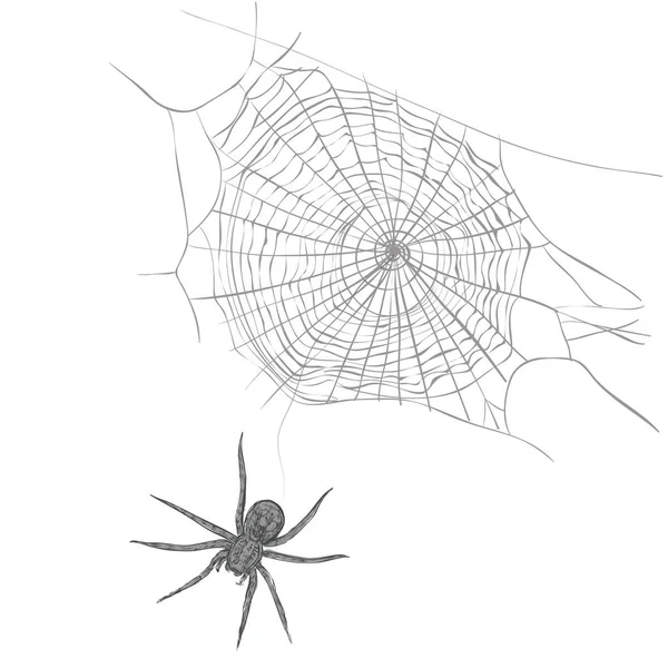 Una araña teje una tela de araña . — Archivo Imágenes Vectoriales