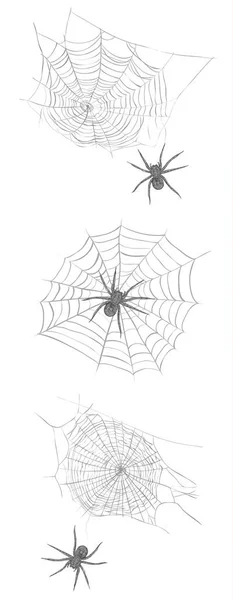 Uma aranha tece uma teia de aranha . —  Vetores de Stock