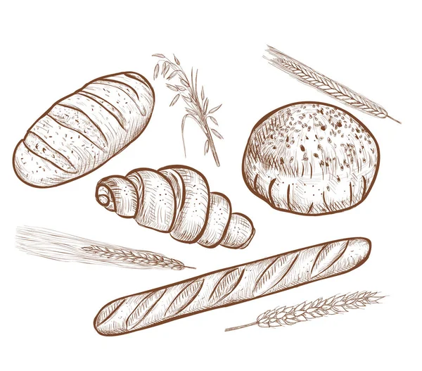 Хліб Векторні ілюстрації . — стоковий вектор